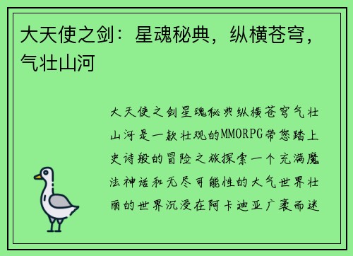 大天使之剑：星魂秘典，纵横苍穹，气壮山河